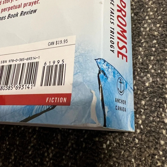 Broken Promise (Book One of the Promise Falls Trilogy) - Picture 3 of 3